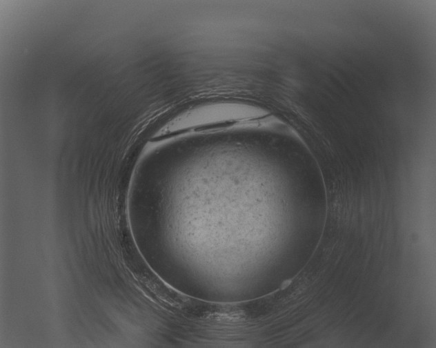 X0000050680548200506151731
