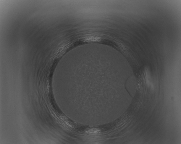 X0000050680551200506151731