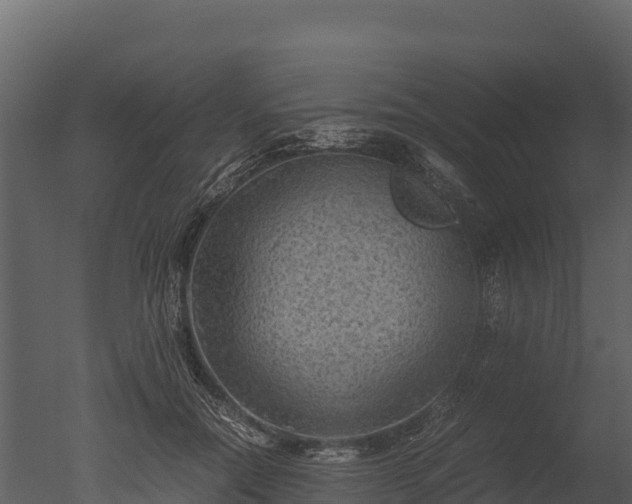 X0000050680554200506151731