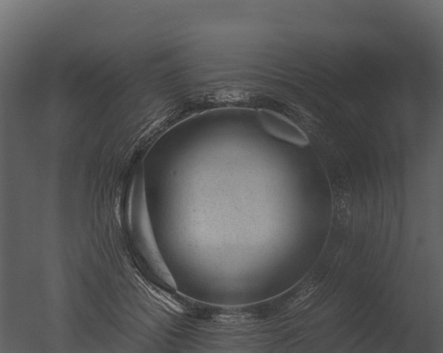 X0000050680556200506151731