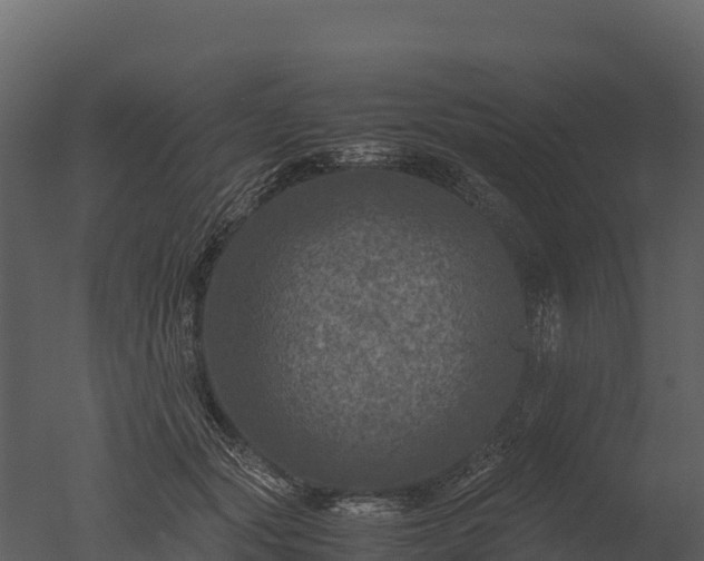 X0000050680557200506151731