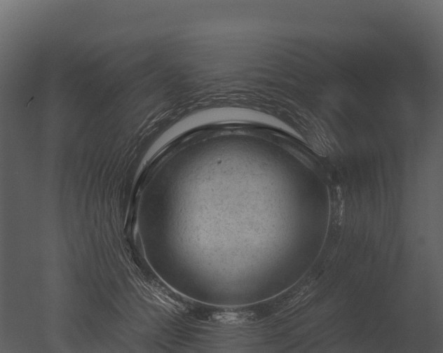 X0000050680558200506151731