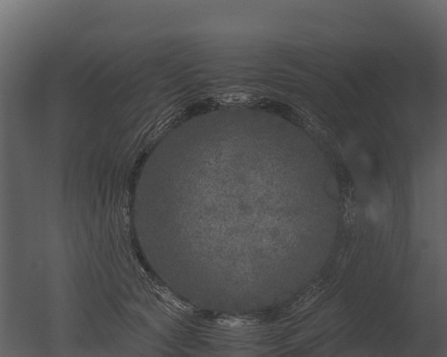 X0000050680561200506151731