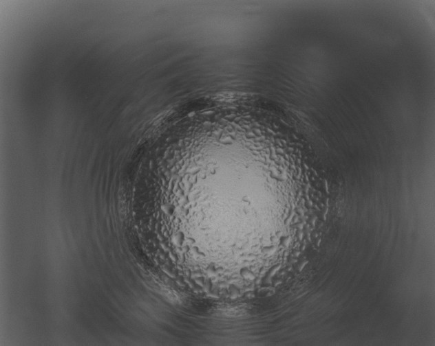 X0000050680569200506151731