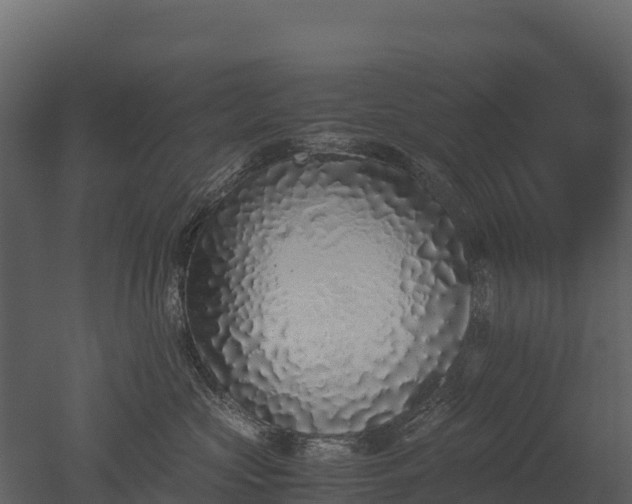 X0000050680573200506151732
