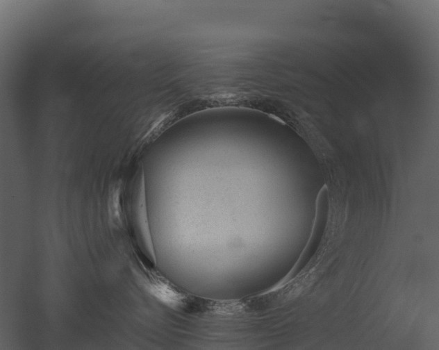 X0000050680576200506151732