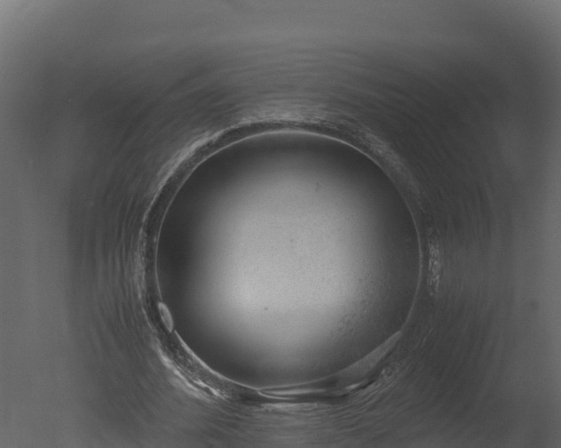 X0000050680580200506151731