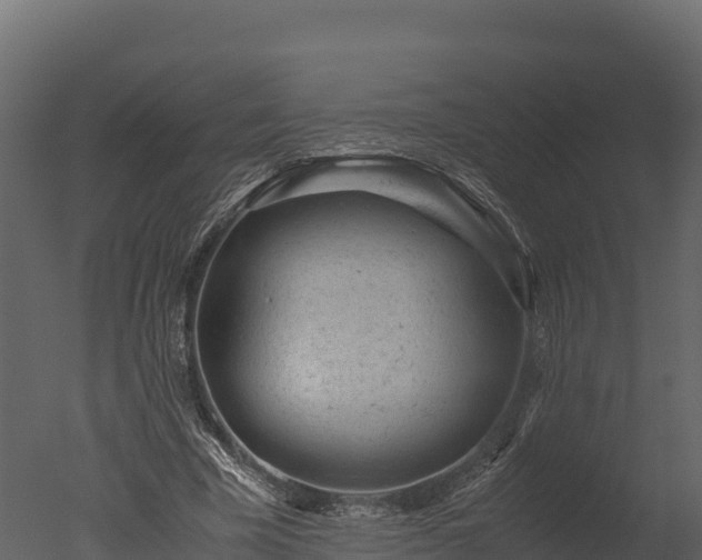 X0000050680585200506151731