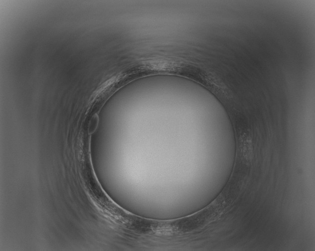X0000050680587200506151731