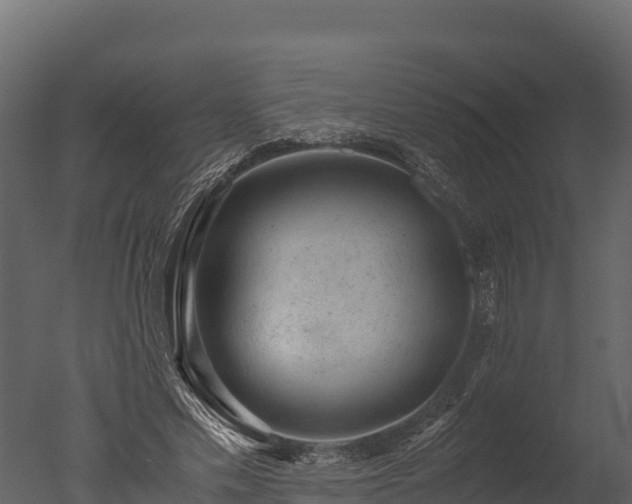 X0000050680589200506151731