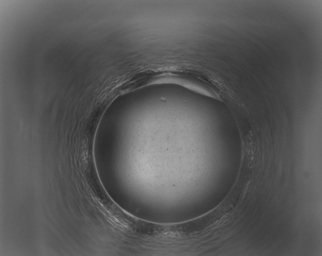 X0000050680593200506151730