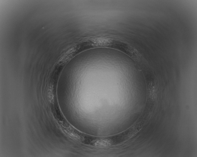 X0000050680599200506151730