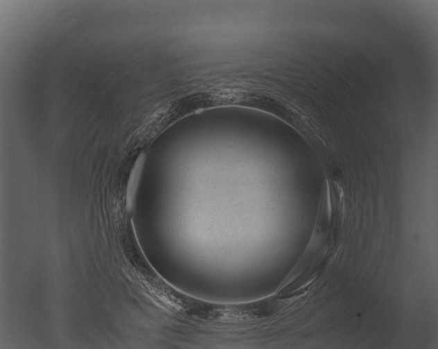 X0000050680601200506151730