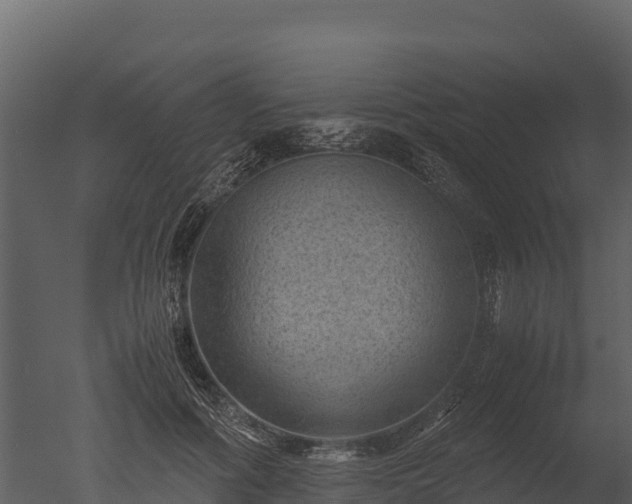 X0000050680602200506151730