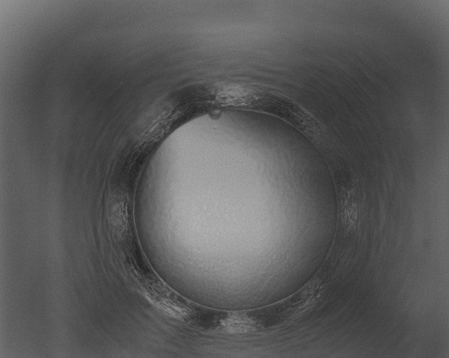 X0000050680603200506151730