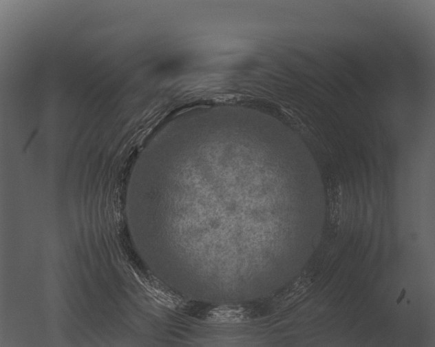 X0000050680606200506151730