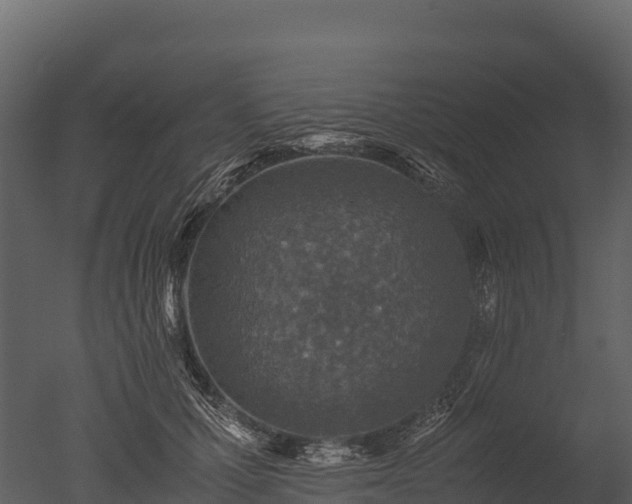 X0000050680607200506151730