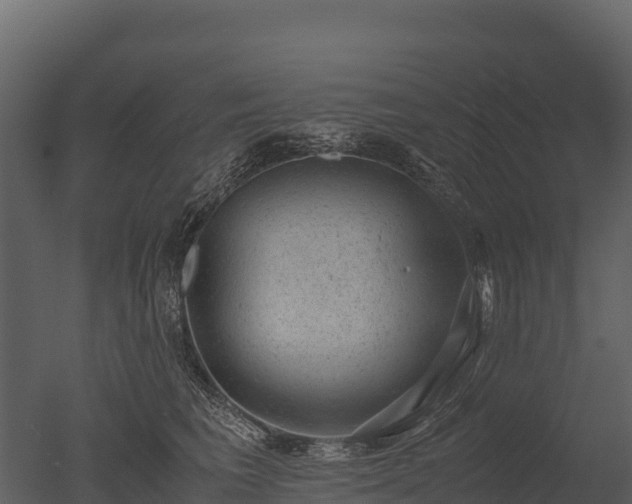 X0000050680613200506151730