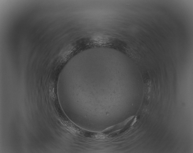 X0000050680615200506151730