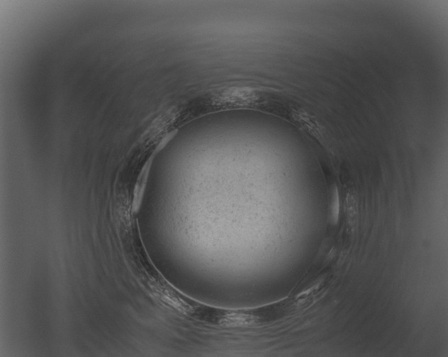 X0000050680617200506151730