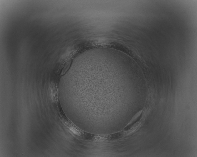 X0000050680624200506151730
