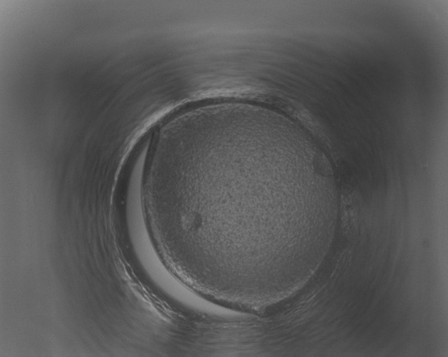 X0000050680628200506151729