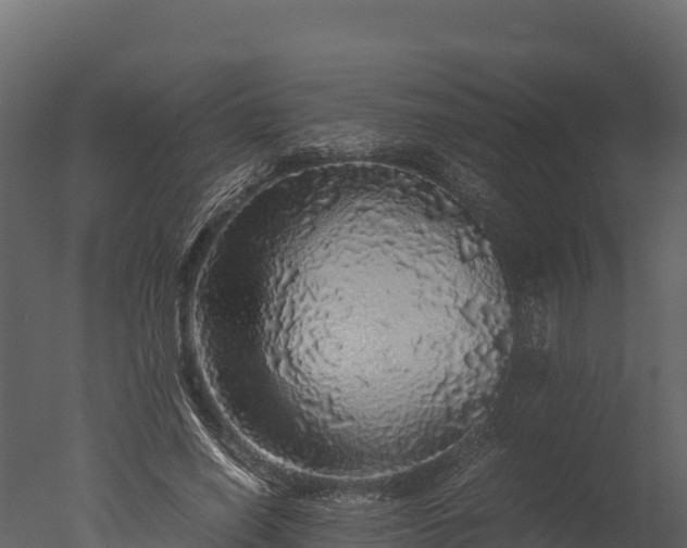 X0000050680638200506151729