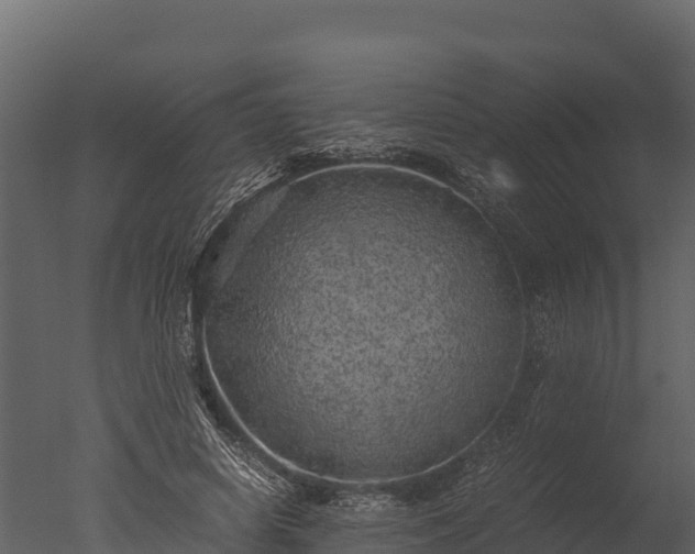 X0000050680642200506151729