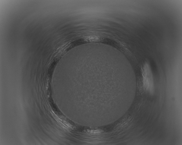X0000050680645200506151729