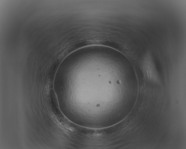 X0000050680647200506151730