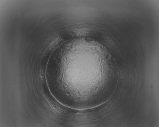 X0000050680648200506151730