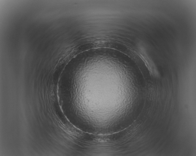 X0000050680654200506151730