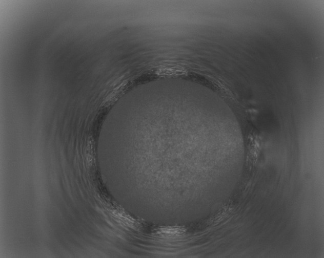 X0000050680659200506151730
