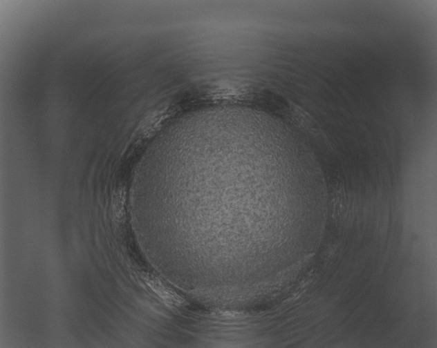 X0000050680660200506151730