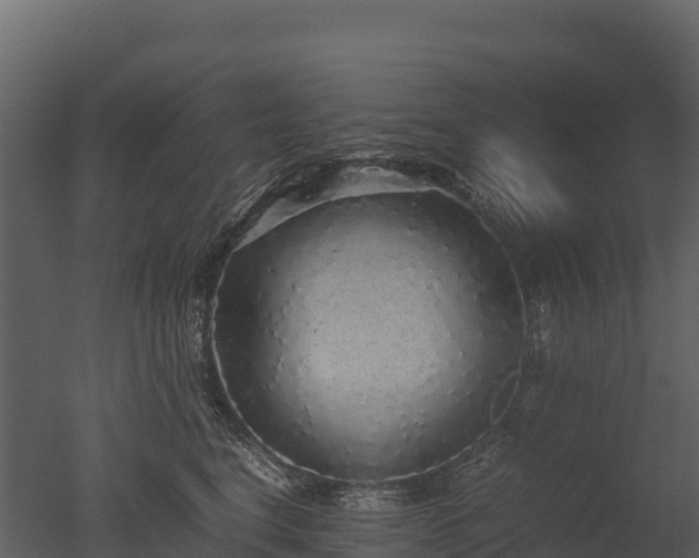 X0000050680664200506151730