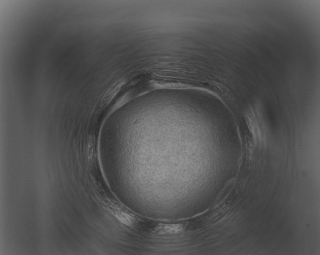 X0000050680665200506151730