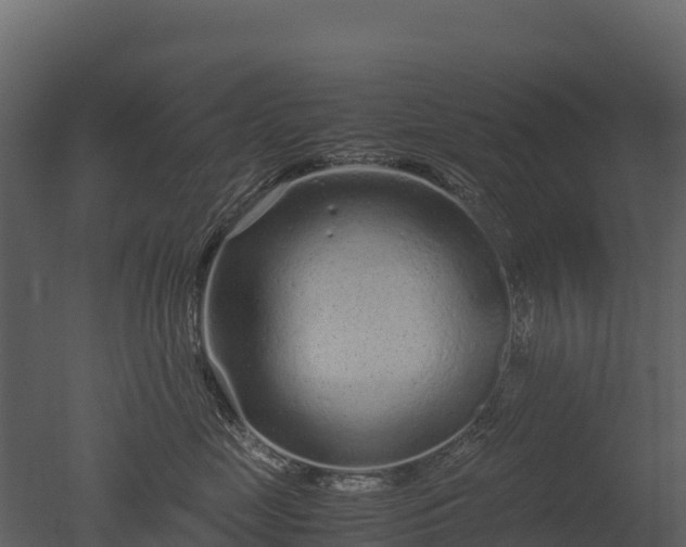 X0000050680669200506151730