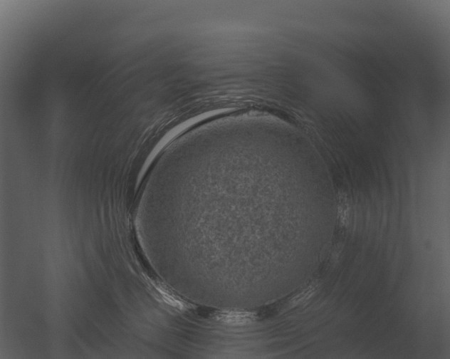 X0000050680670200506151730