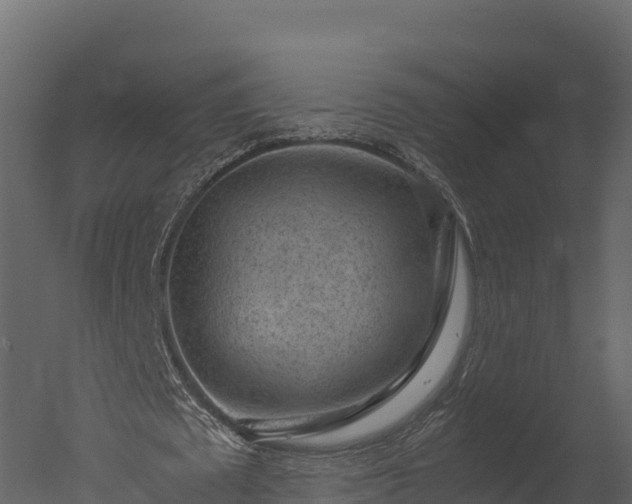X0000050680673200506151729