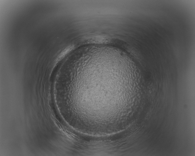 X0000050680679200506151729