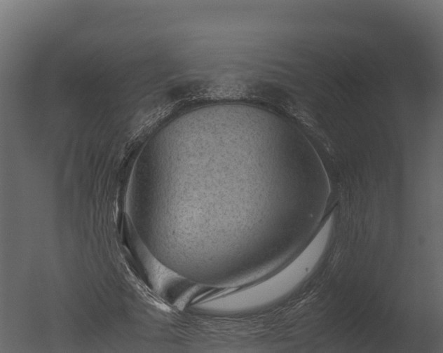 X0000050680681200506151729