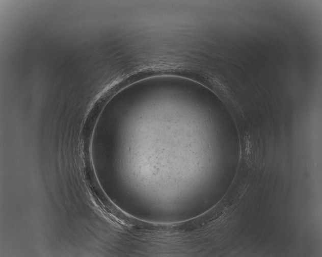 X0000050680684200506151729