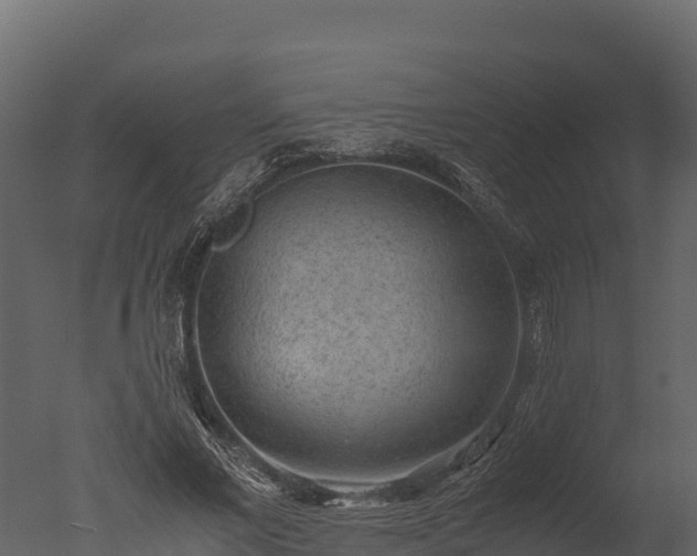 X0000050680685200506151729