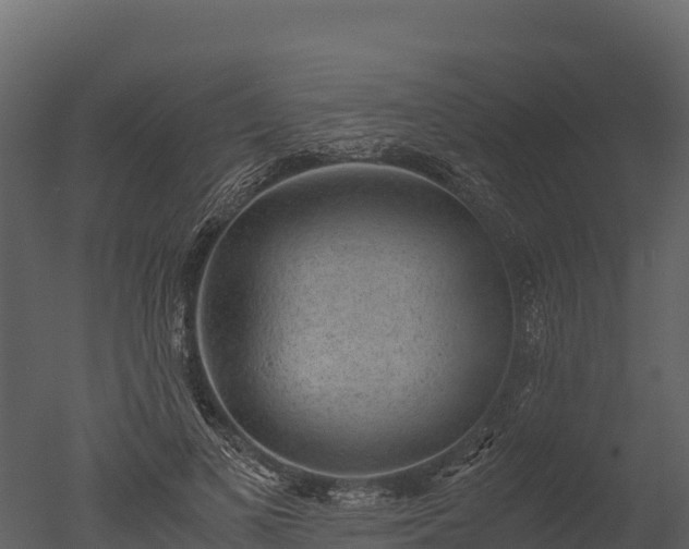 X0000050680693200506151729