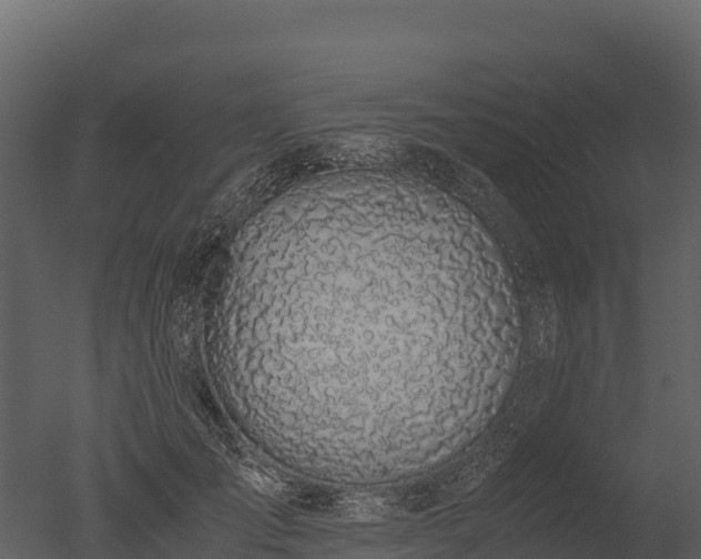 X0000050680701200506151729