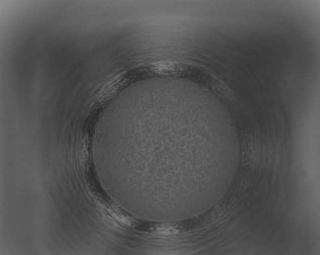 X0000050680702200506151729