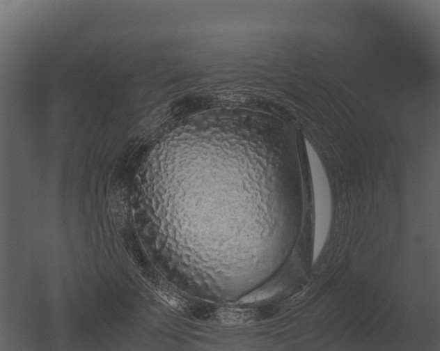 X0000050680707200506151729