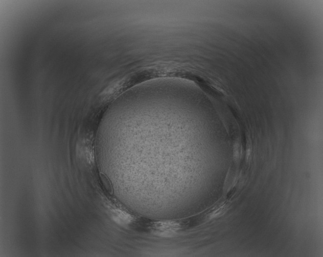 X0000050680719200506151728