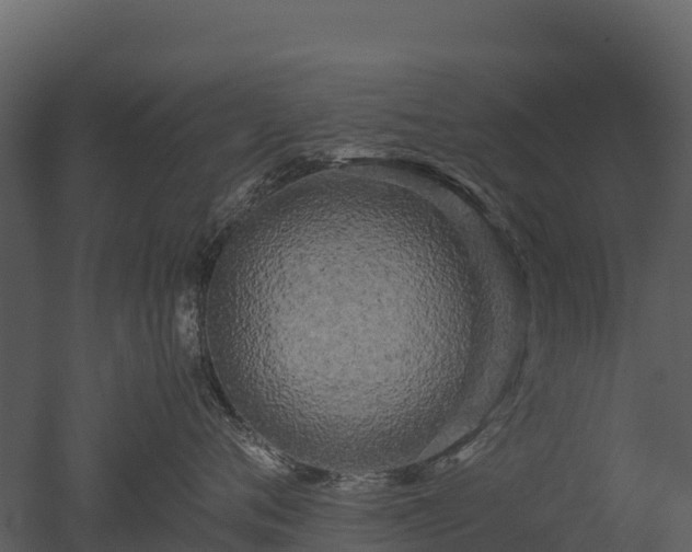 X0000050680720200506151728