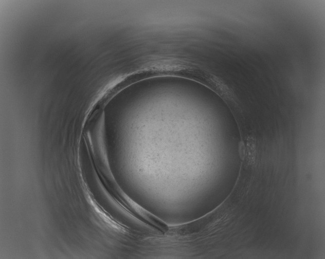 X0000050680726200506151728